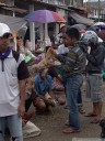 close examination of roosters for cockfights (pasar bolu)