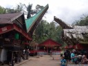 der ort des begräbnisses (toraja begräbniszeremonie) || foto details: 2011-09-12 01:39:39, buntao, tana toraja, sulawesi, indonesia, DSC-F828.