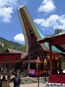 tongkonan gebäude (toraja begräbniszeremonie) || foto details: 2011-09-12 02:31:11, buntao, tana toraja, sulawesi, indonesia, DSC-F828.