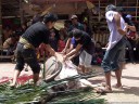 the skinning starts. water buffalo sacrifice (torajan funeral ceremony). 2011-09-12 03:00:45, DSC-F828.