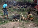 the pig's hair is burned off (torajan funeral ceremony)