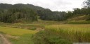 panorama: rice terraces in toraja land