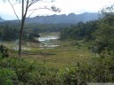 reisterrassen in tana toraja || foto details: 2011-09-12 05:49:13, buntao, tana toraja, sulawesi, indonesia, DSC-F828.