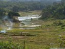 rice terraces in tana toraja (near buntao, sulawesi)