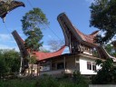 ein normales haus mit tongkonan erweiterung. || foto details: 2011-09-12 06:10:38, tana toraja, sulawesi, indonesia, DSC-F828.