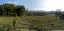 panorama: rice fields near buntao