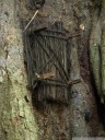 babies under 3 months of age are buried in a holy tree to give them back to nature. (baby grave tree)