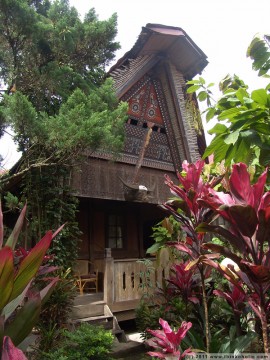 tongkonan style cottages at duta 88 - a quiet little oasis in the middle of rantepao (tana toraja, sulawesi)