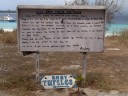 the gili meno turtle sanctuary project aims to protect the eggs and young turtles from predators.. 2011-09-17 03:48:12, DSC-F828. keywords: sign