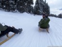sledging-in-action photo
