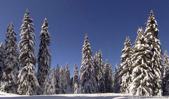 panorama: winter landscape near birgitz