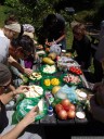 lunchtime: costa rican fruits and specialties. 2011-02-06 01:44:38, DSC-F828.