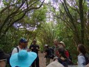 hiking around volcan arenal