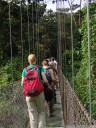 arenal hanging bridges through the tropical rainforest