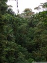 arenal hanging bridges through the rainforest canopy