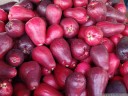 tropical fruit: malay apples (syzygium malaccense)