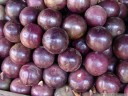 tropical fruit: star apples (chrysophyllum cainito)