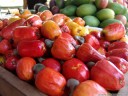 tropical fruit: cashew nuts (anacardium occidentale, brownish) with edible, thickened fruit stalks. 2011-02-10 02:02:14, DSC-F828. keywords: kaschu, acaju, kaschuäpfel, caju, cajueiro, Alcayoiba, Castaña de cajú, cajuil, maranon, nuez de la india, pajuil, jocote maranon, noix de cajou