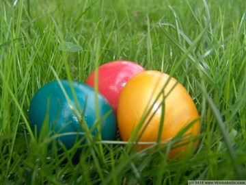 easter eggs in spring grass