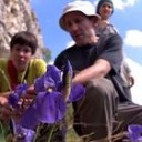 botanical excursion to slovenia, in lightfield pictures