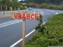 vrabce - let us put up twigs!