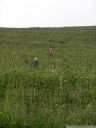 georgia excursion: even the tallest of us were outgrown by the tall herbaceous vegetation