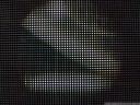 the ur-leica hologram, focussed on the lens array. 2012-09-20 06:09:27, DSC-F828.