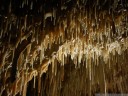 jenolan caves: lucas. 2012-10-01 06:54:12, PENTAX Optio W60.