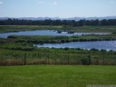 mcgraths hill wetlands. 2012-10-07 05:34:31, PENTAX Optio W60.