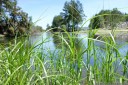 yarramundi reserve