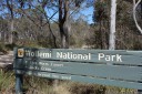 entering wollemi national park