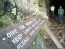 glow worm cave, wollemi national park