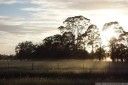 an early spring morning in richmond