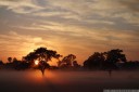 foggy sunrise in clarendon