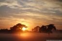 foggy sunrise in clarendon. 2012-11-01 07:06:40, DSC-RX100.