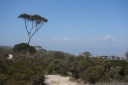 hornes point, mount piddington, blue mountains