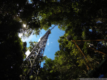 canopy crane, daintree rainforest observatory, cape tribulation