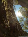 carrie climbing at dam cliffs
