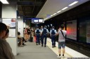 police arrives with a drug sniffer dog, probably thinking these people must be stoned.