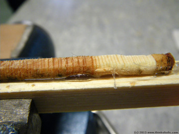 wood core sample preparation - growth rings of varying width are visible even before the sample is prepared. (european larch, larix decidua)