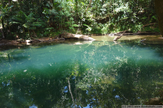 blue water hole, cape tribulation