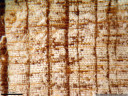 lärche (larix decidua) - holz-bohrkern zeigt 8+ jahre mit dürre (um 1945; dünne jahrringe, die teilweise nur aus einigen zellreihen bestehen) || foto details: 2008-11-17 02:05:01, innsbruck, austria, PENTAX Optio W60.