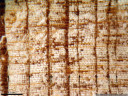 european larch (larix decidua) - wood core sample shows 8+ years of drought (around 1945; thin year rings, sometimes consisting of only a few cell rows). year ring borders marked by arrows.