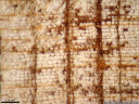 european larch (larix decidua) - wood core sample shows an extremely small year ring (center of image, only 2-3 cell rows) following two substantially better years (left to right)