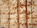 european larch (larix decidua) - wood core sample shows an extremely small year ring (center of image, only 2-3 cell rows) following two substantially better years (left to right). 2008-11-17 02:03:44, PENTAX Optio W60.