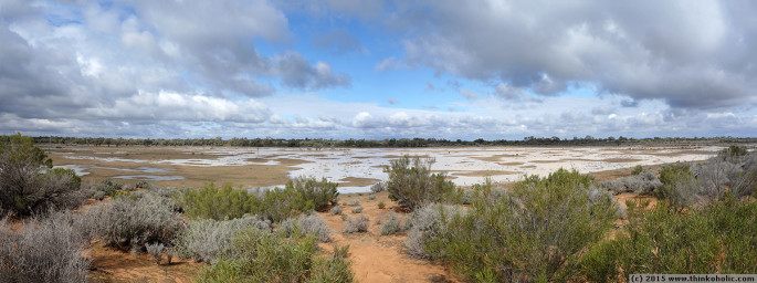 panorama: kinchega national park - the desert, after rainfall