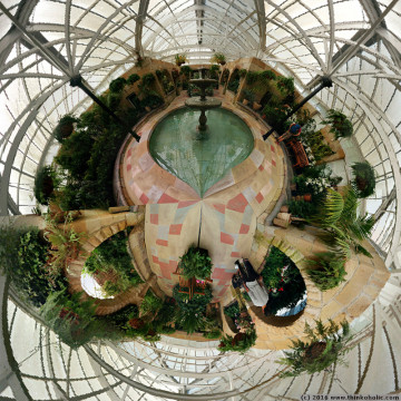 the conservatory, royal tasmanian botanical gardens (panorama)