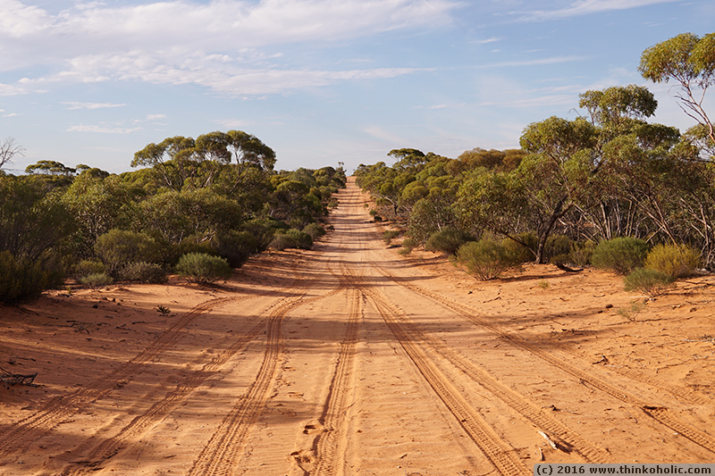 driving through the 21 hills area, calperum mallee, south australia