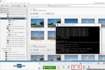 after: three new subdirectories are created and filled according to the criteria mentioned above. (picasa buttons: automatically sort video and raw files into subdirectories, delete orphaned raw files)