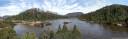 panorama: pencil pine (athrotaxis cupressoides) at the labyrinth, pine valley, tasmania